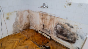 water damage remediation